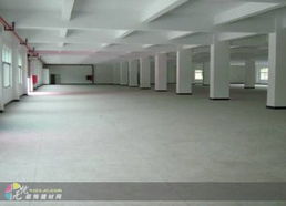 深圳建材市場與西麗工廠裝修 融合獨特創意與專業建材，打造卓越工業空間